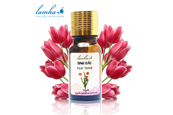 Tinh dầu hoa Tuy líp - Tulip